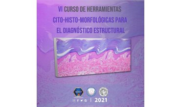 Imagen VI Curso Herramientas Cito-Histo-Morfológicas para el Diagnóstico Estructural