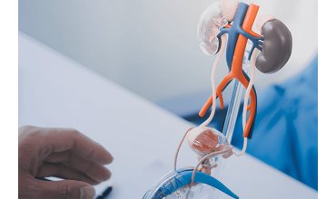 Imagen 24º CURSO DE POST-GRADO EN UROLOGÍA 2025