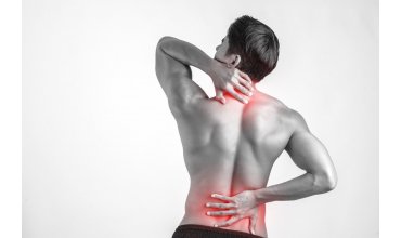 Imagen DOMA INTERNACIONAL